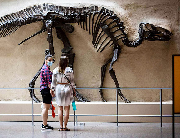 A photo of two young women standing in front of a dinosaur on display at the Royal Ontario Museum, one of the women facing the camera and wearing a protective mask.